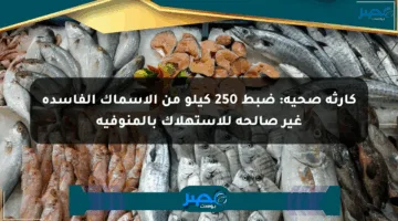 كارثة صحية: ضبط 250 كيلو من الأسماك الفاسدة غير صالحة للاستهلاك بالمنوفية